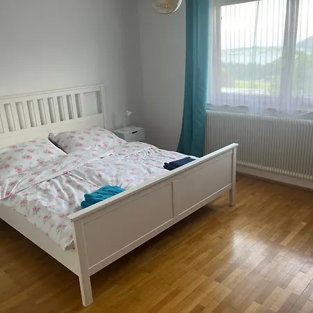 Ferienhaus Moser Holiday home